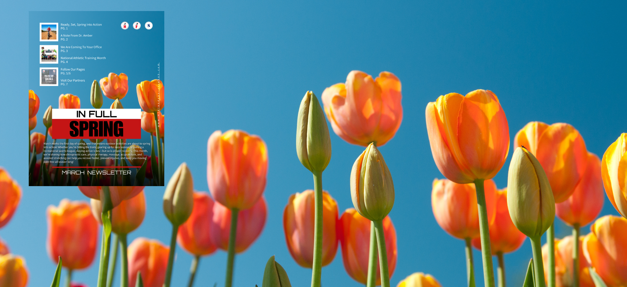 March Newsletter 2025, In Full Spring: March marks the first day of spring!