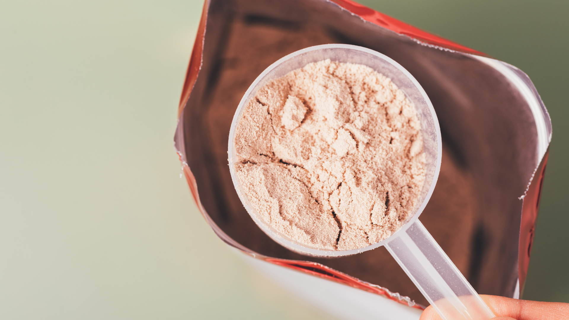 7 common protein options for supplementation 